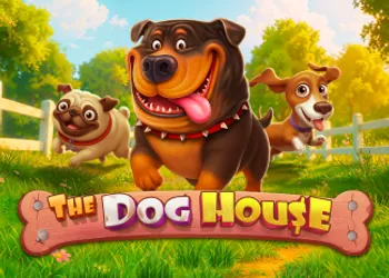 The Dog House